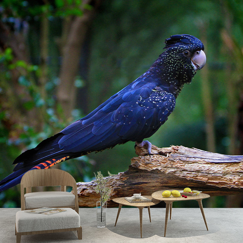 Lovely Parrot Wall Mural Wallpaper Mildew Resistant Wall Covering for Decoration