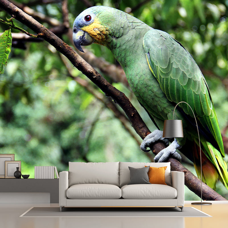 Lovely Parrot Wall Mural Wallpaper Mildew Resistant Wall Covering for Decoration