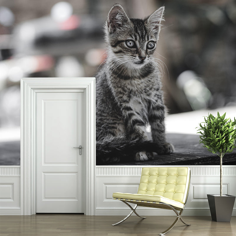 Lovely Cat Wall Mural Wallpaper Mildew Resistant Wall Covering for Decoration