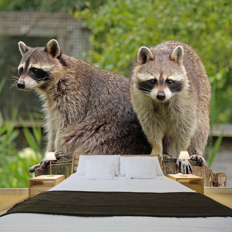 Lovely Raccoon Wall Mural Wallpaper Mildew Resistant Wall Covering for Decoration