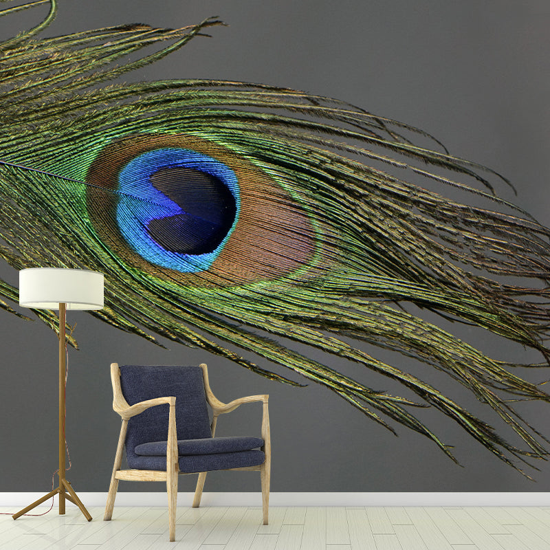 Peacock Feather Mural Wallpaper Mildew Resistant Wall Covering for Decoration