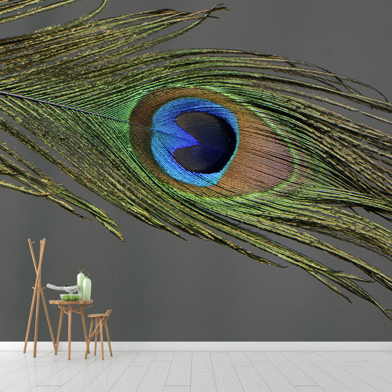 Peacock Feather Mural Wallpaper Mildew Resistant Wall Covering for Decoration