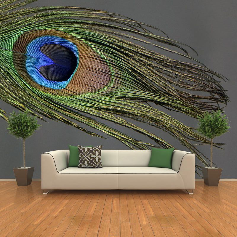 Peacock Feather Mural Wallpaper Mildew Resistant Wall Covering for Decoration