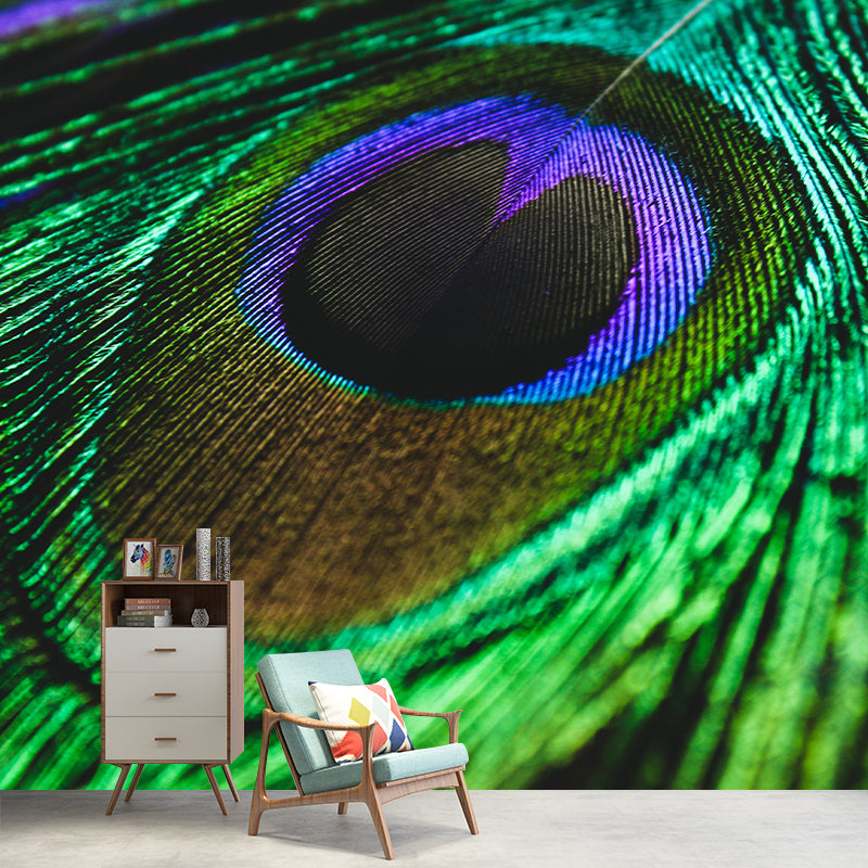 Peacock Feather Mural Wallpaper Mildew Resistant Wall Covering for Decoration