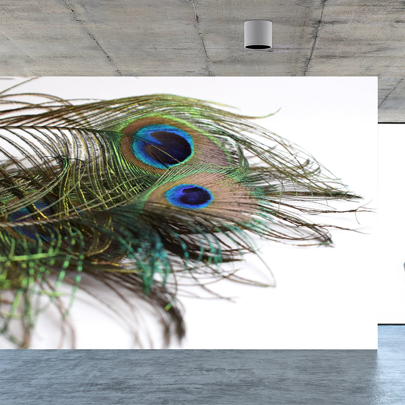 Peacock Feather Mural Wallpaper Mildew Resistant Wall Covering for Decoration