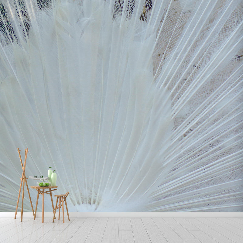 Peacock Feather Wall Mural Wallpaper Mildew Resistant Wall Covering for Decoration