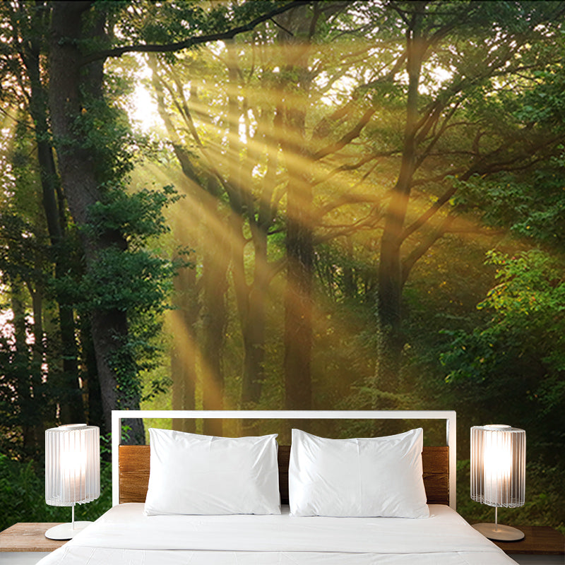 Dense Forest Trees Moisture Resistant Contemporary Bedroom Wall Covering