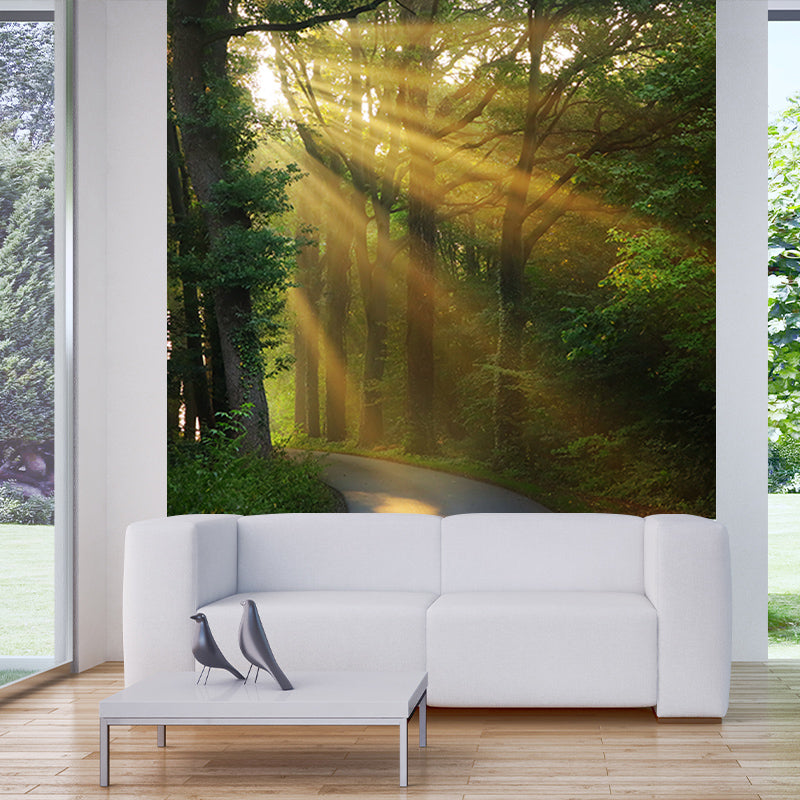 Dense Forest Trees Moisture Resistant Contemporary Bedroom Wall Covering