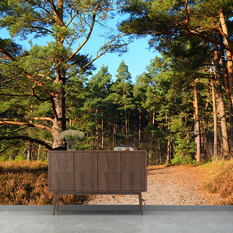 Forest Trees View Mural Moisture Resistant Contemporary Bedroom Wall Covering