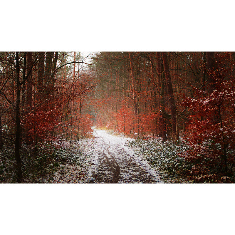 Forest Trees View Mural Moisture Resistant Contemporary Bedroom Wall Covering