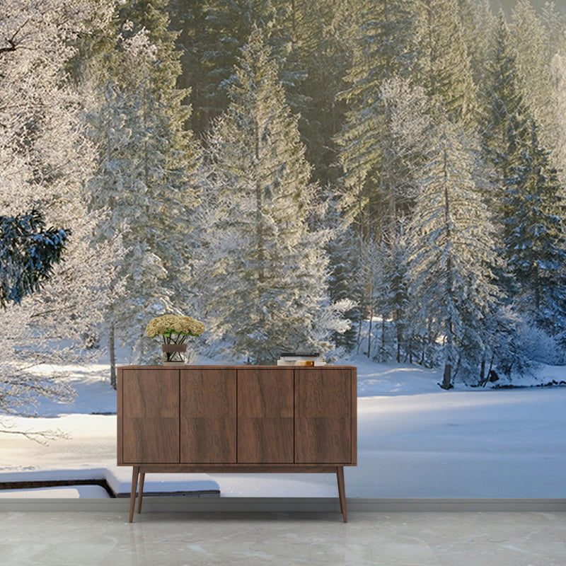 Customized Forest Mural Wall Covering Decorative Mildew Resistant for Reading Room