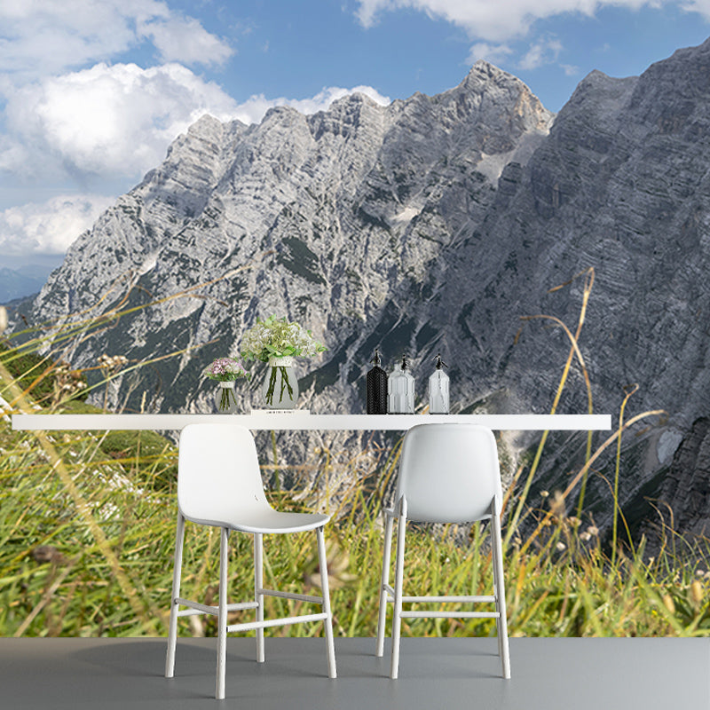 Alpine View Mural Water Resistant for Living Room Wall Decor, Made to Measure