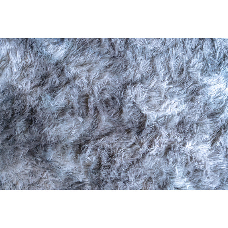 Simple Plumage Wall Murals Contemporary Wall Art for Bedroom, Water Resistant