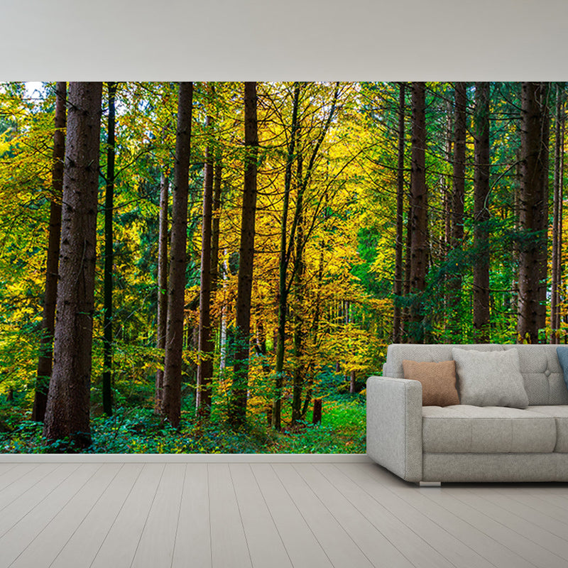 Simple Green Forest Mural Custom-Printed Minimalist Wall Art for Office Room