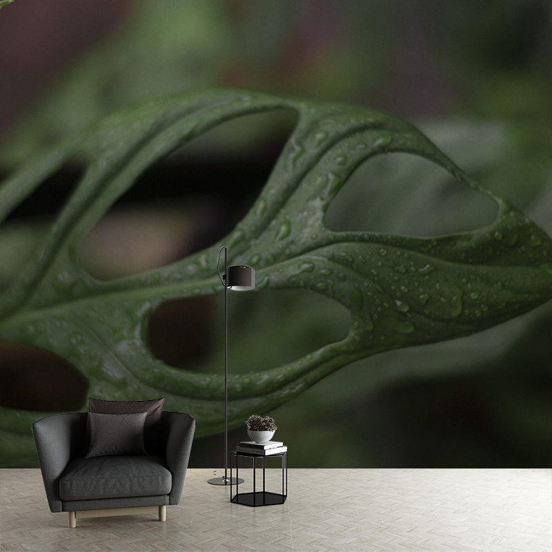 Tropical Monstera Home Decor Modern Sleeping Room Wall Decoration Wallpaper