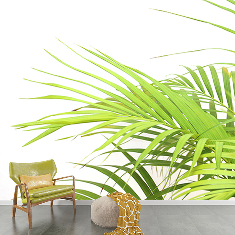 Tropical Monstera Home Decor Modern Sleeping Room Wall Decoration Wallpaper