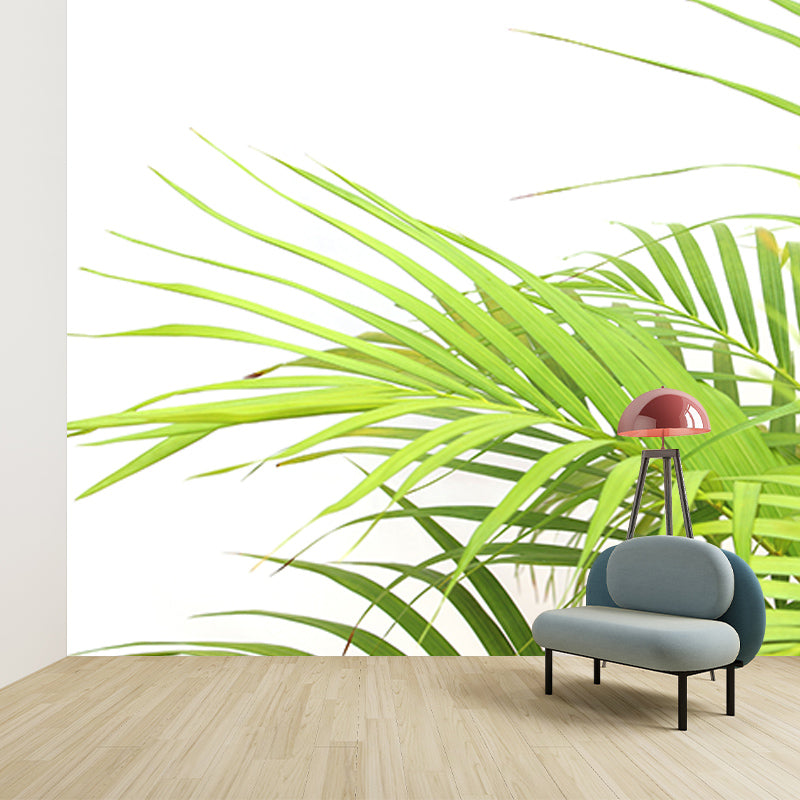 Tropical Monstera Home Decor Modern Sleeping Room Wall Decoration Wallpaper