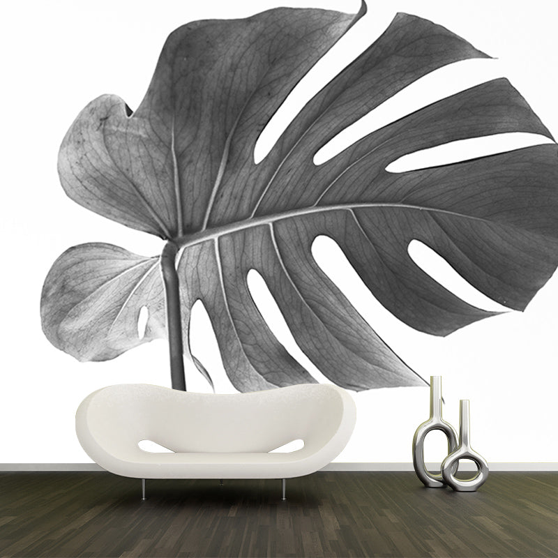Monstera Mural Wallpaper for Reading Room Stain Resistant, Personalized Size