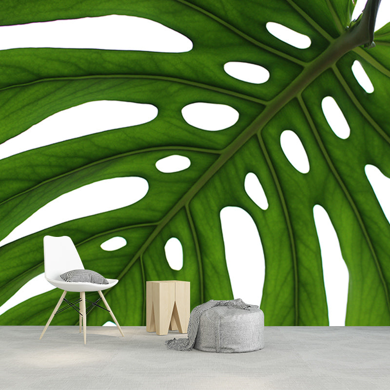 Monstera Mural Wallpaper for Reading Room Stain Resistant, Personalized Size