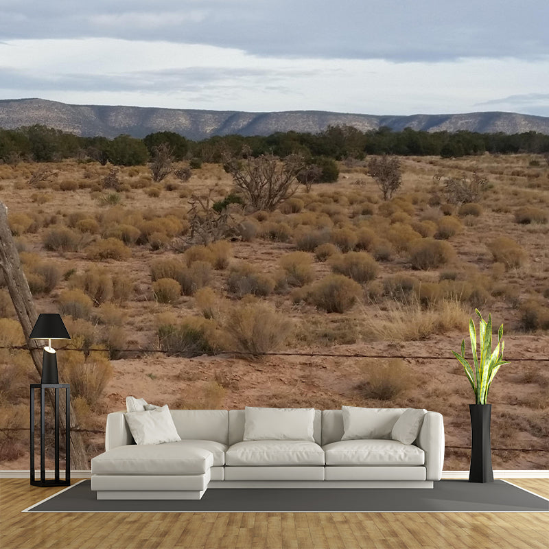 Horizontal Photography Desert Mural Environment Friendly Wallpaper for Home Decor