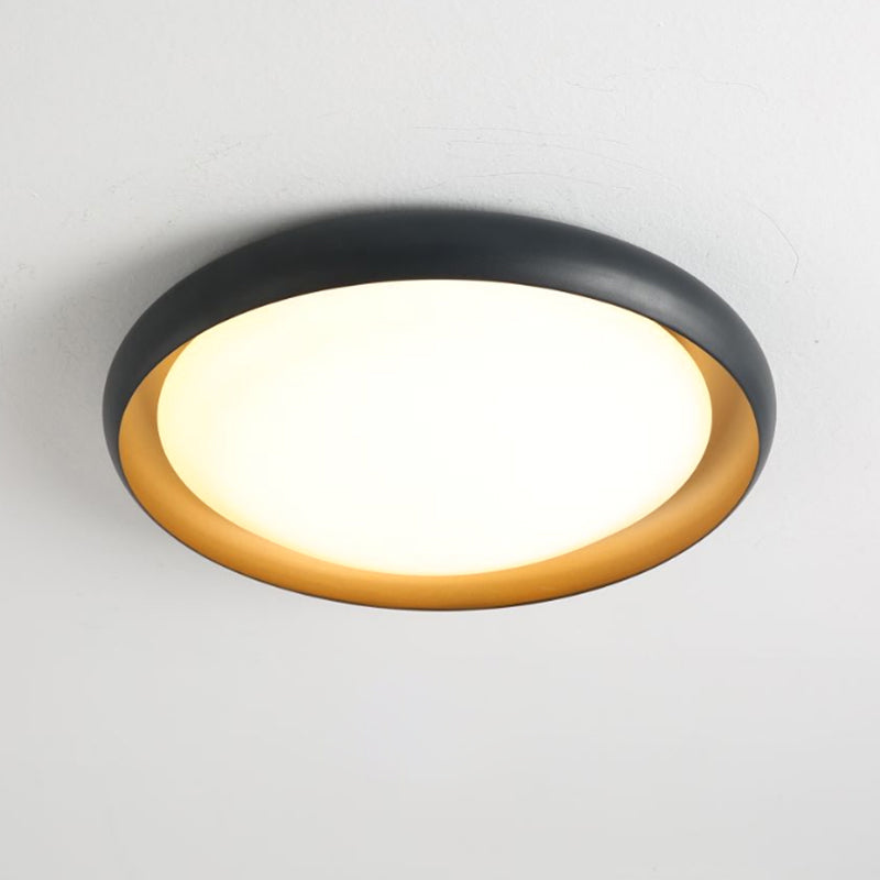 LED Flush Mount Ceiling Light Simple Aluminum Ceiling Lamp for Living Room