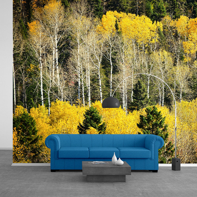 Contemporary Forest Mural Wallpaper Decorative Mildew Resistant Wall Art