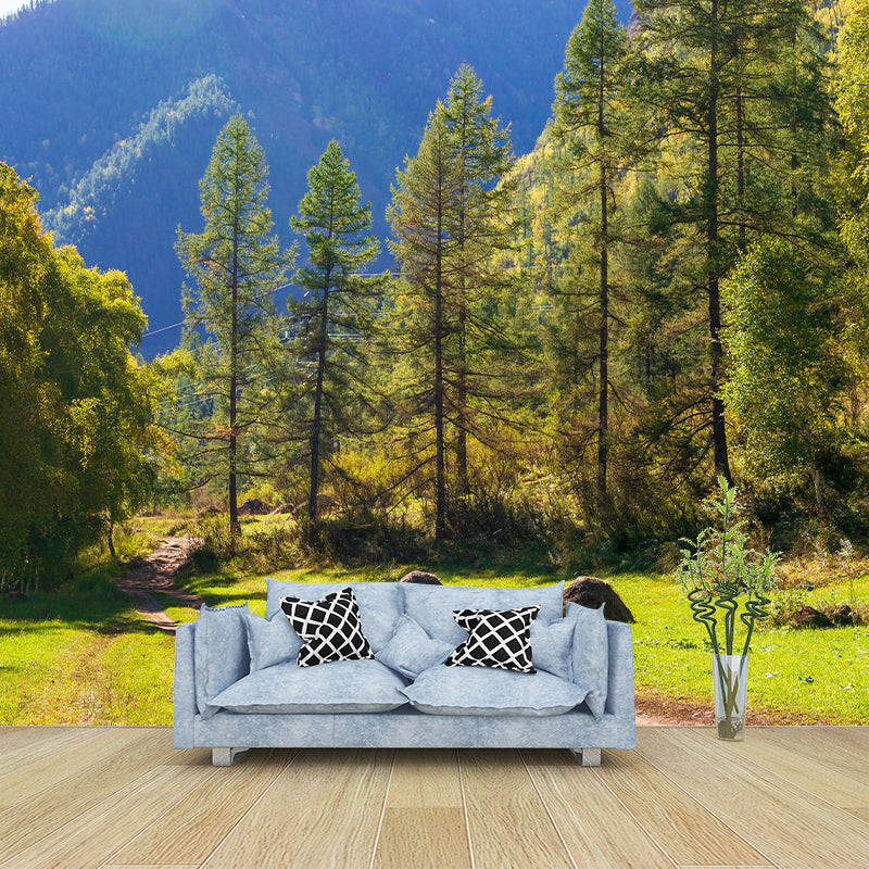 Beautiful Forest Mural Wallpaper Decorative Mildew Resistant Home Decor