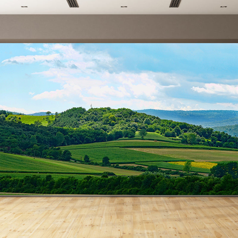 Beautiful Forest Mural Wallpaper Decorative Mildew Resistant Home Decor