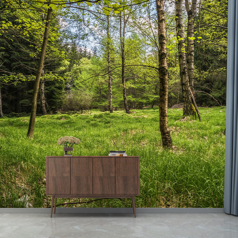 Contemporary Forest Mural Wallpaper Decorative Mildew Resistant Wall Covering