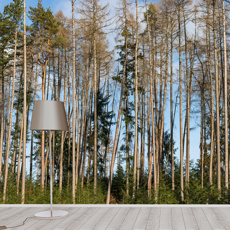 Contemporary Forest Mural Wallpaper Decorative Mildew Resistant Wall Covering