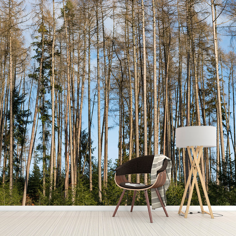 Contemporary Forest Mural Wallpaper Decorative Mildew Resistant Wall Covering