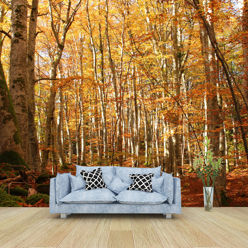 Beautiful Forest Mural Wallpaper Decorative Mildew Resistant Wall Decor