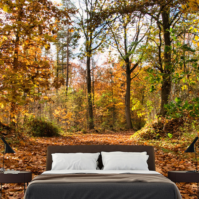 Beautiful Forest Mural Wallpaper Decorative Mildew Resistant Wall Decor