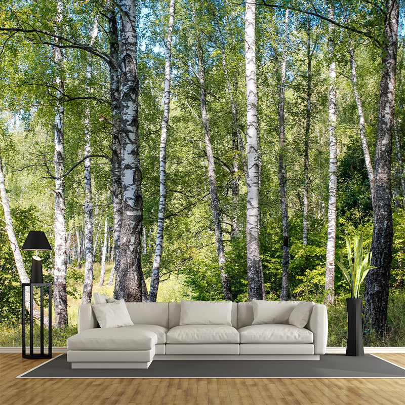 Beautiful Forest Mural Wallpaper Decorative Mildew Resistant Wall Decor