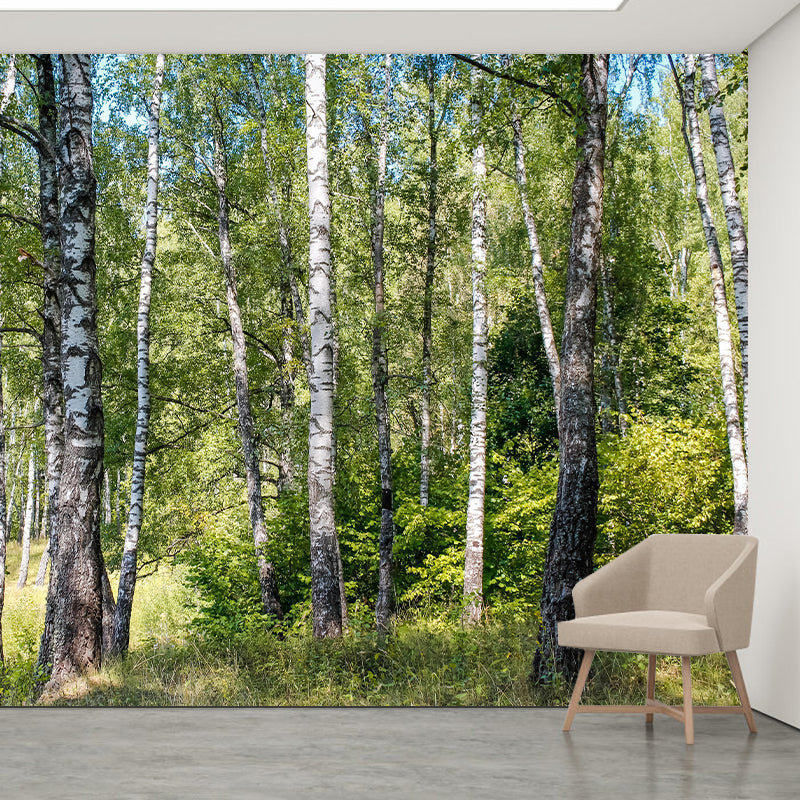 Beautiful Forest Mural Wallpaper Decorative Mildew Resistant Wall Decor