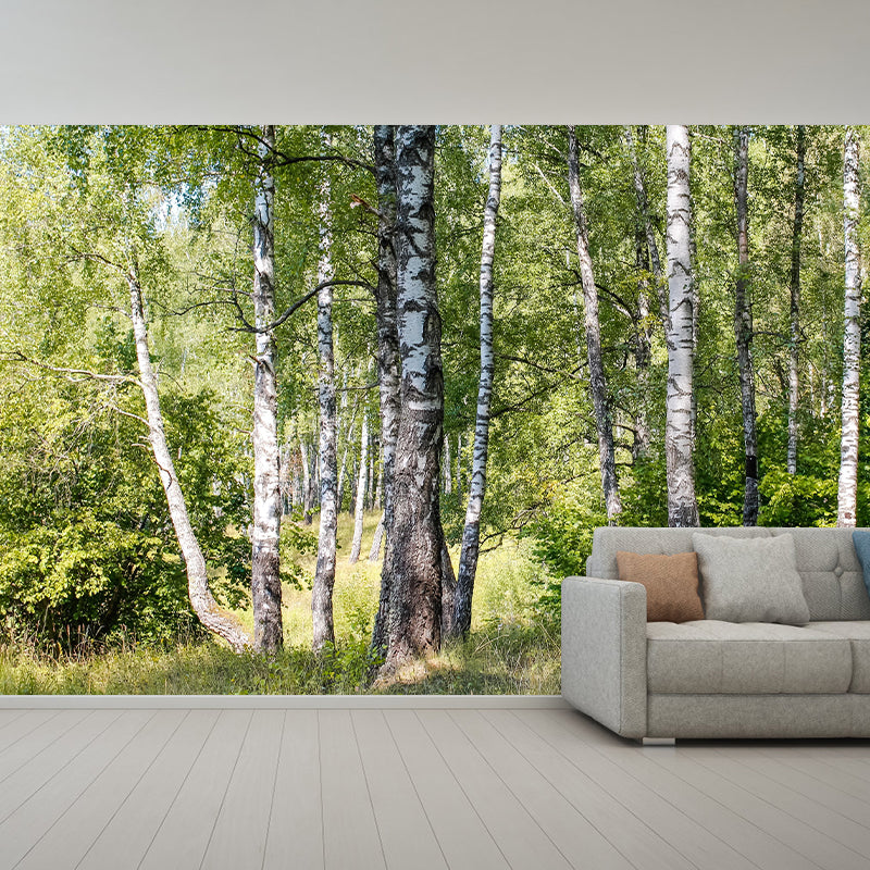 Beautiful Forest Mural Wallpaper Decorative Mildew Resistant Wall Decor