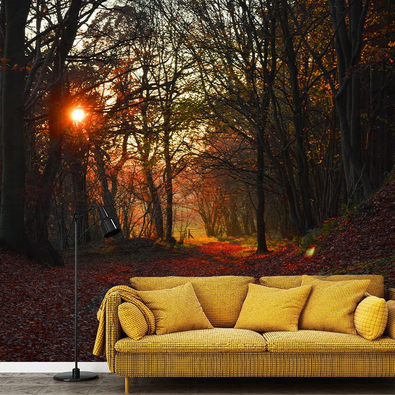 Forest Wall Mural Wallpaper Decorative Mildew Resistant Home Decor