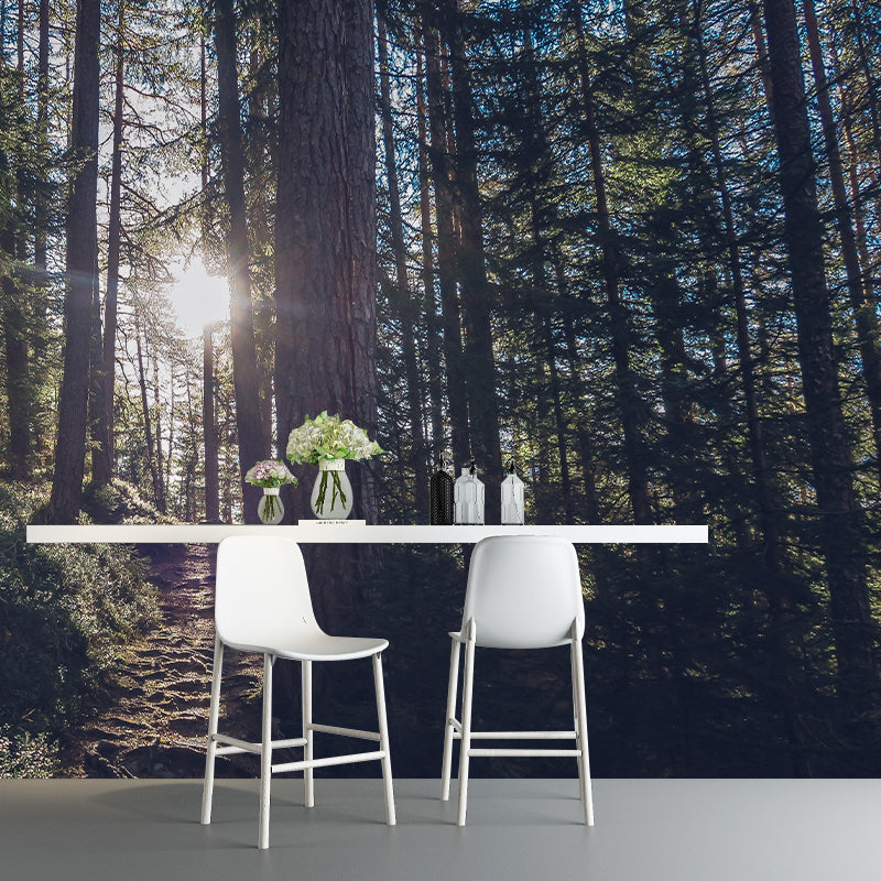 Forest Wall Mural Wallpaper Decorative Mildew Resistant Home Decor