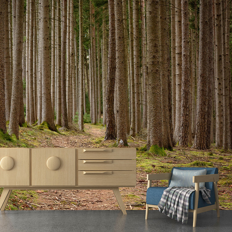 Photography Forest Mural Wallpaper Decorative Mildew Resistant Wall Decor