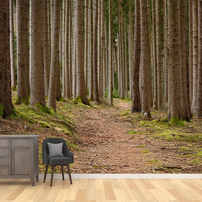 Photography Forest Mural Wallpaper Decorative Mildew Resistant Wall Decor