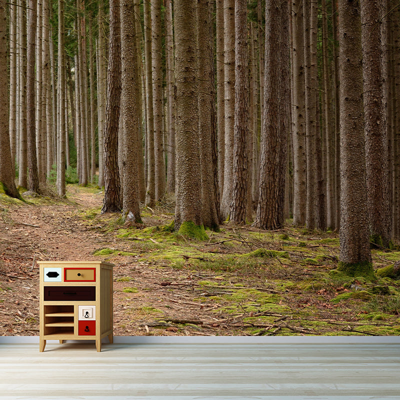 Photography Forest Mural Wallpaper Decorative Mildew Resistant Wall Decor