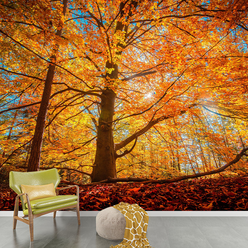 Modern Style Forest Mural Wallpaper Decorative Mildew Resistant Wall Decor