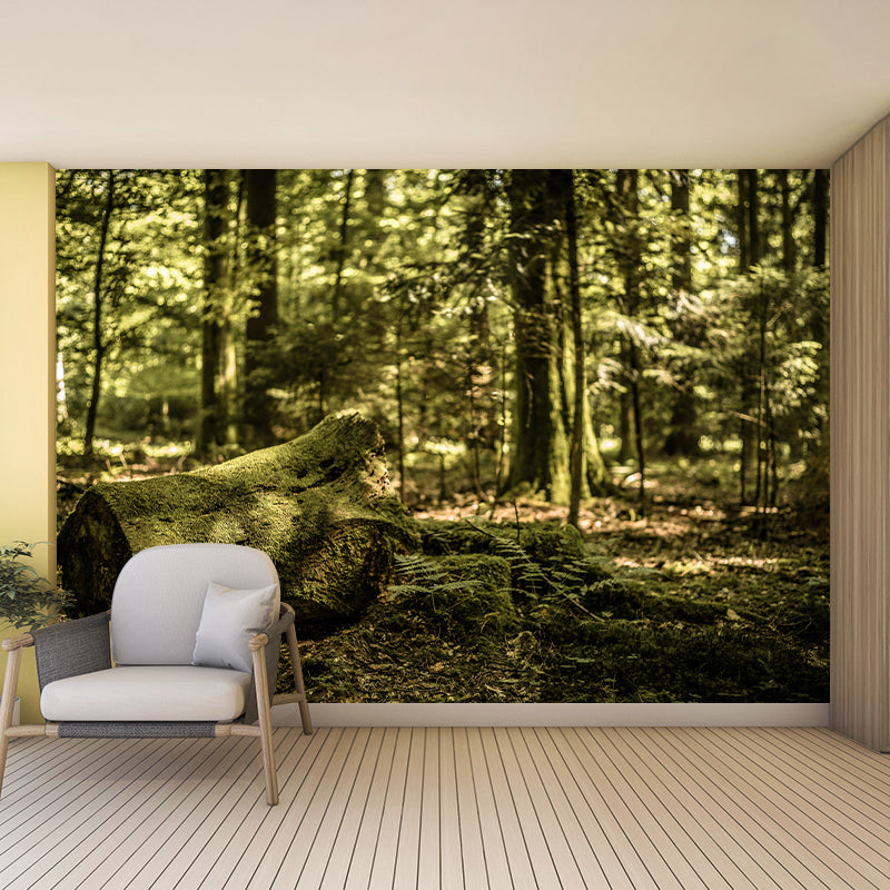 Forest Mural Wallpaper Decorative Mildew Resistant Home Decor