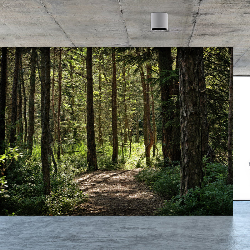 Forest Mural Wallpaper Decorative Mildew Resistant Home Decor