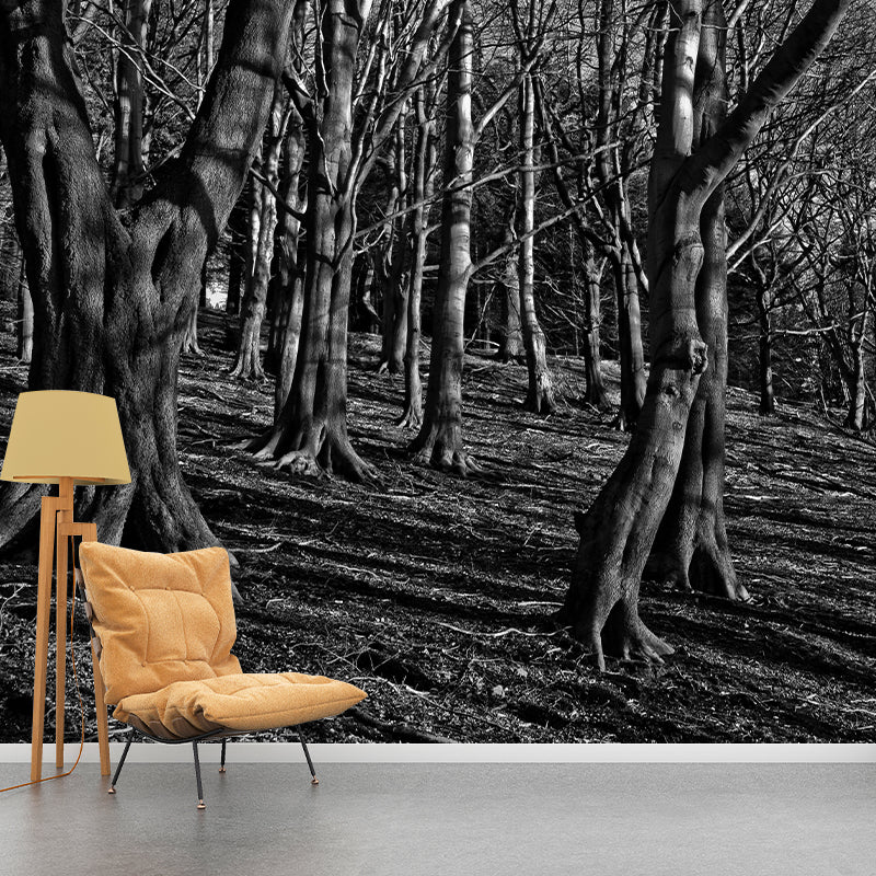 Forest Mural Wallpaper Decorative Mildew Resistant Home Decor