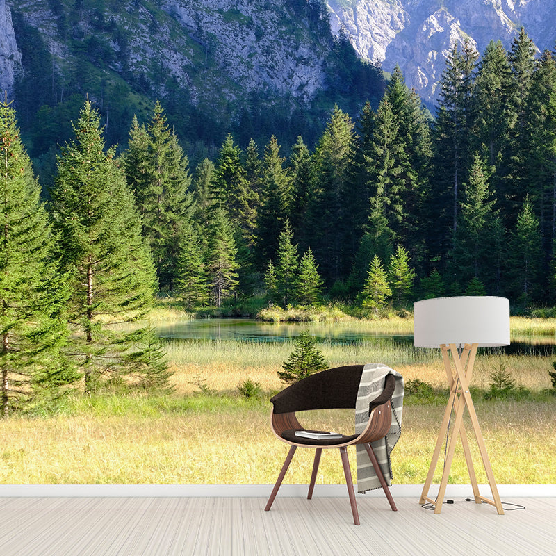 Contemporary Forest Mural Wallpaper Decorative Mildew Resistant Wall Decor