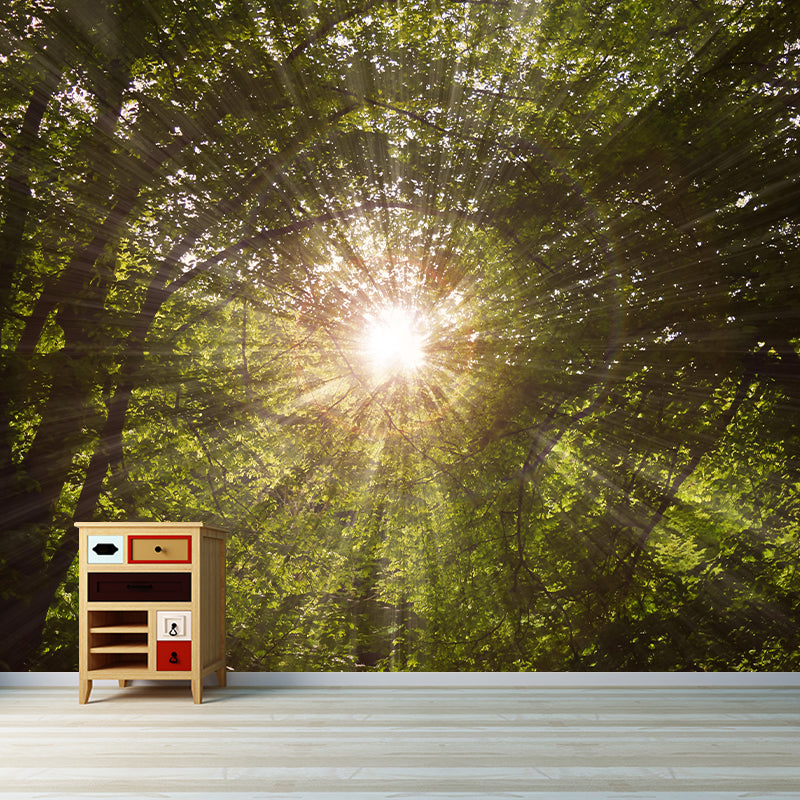 Contemporary Forest Mural Wallpaper Decorative Mildew Resistant Wall Decor