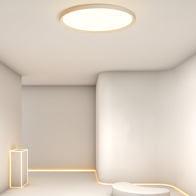 Simplicity Flush Mount Fixture with Acrylic Shade LED Flush Ceiling Light Fixtures