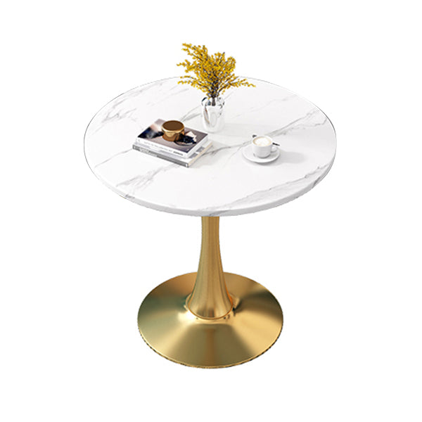 Fixed Dining Table Traditional Luxury Dining Site Table for Dining Room