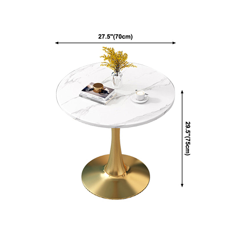 Fixed Dining Table Traditional Luxury Dining Site Table for Dining Room